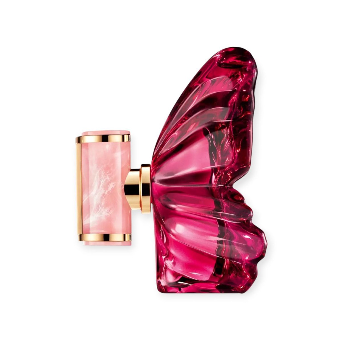 Schmetterlingsparfüm, Dubai Ar – Fragrance Perfume In Dubai Bewertung und Preis